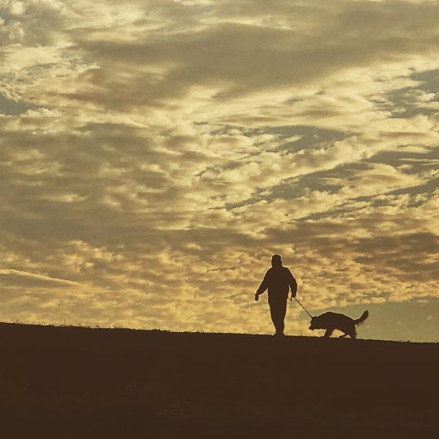 夕焼け色の秋の空。河原を散歩、おっさんと犬。#夕焼け #散歩 #犬 #おっさん #河原 #シルエット