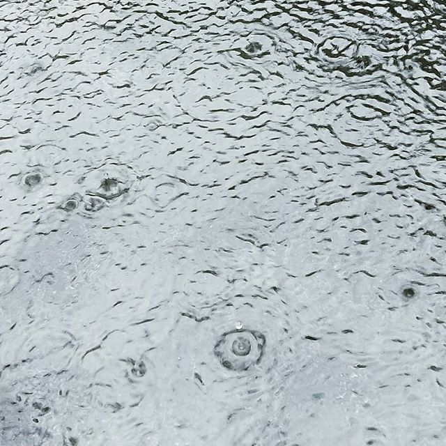 雨！梅雨！波紋！オーバードライブっ！（違雨の日にしか撮れない写真を撮る大会、絶賛開催中！（エントリーは私だけ）#oppo #r11s #スマホ写真部