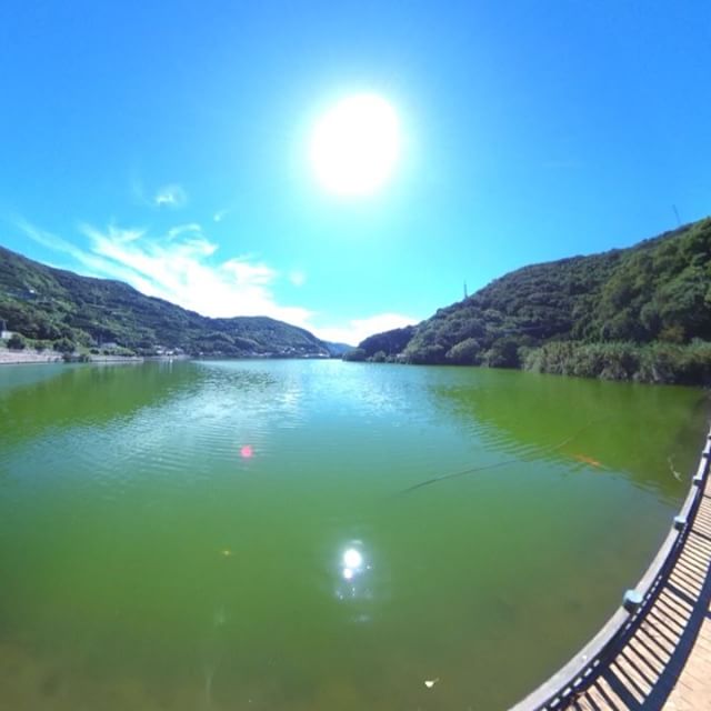 佐田岬の亀ヶ池。いい天気だ…。良すぎて暑いww