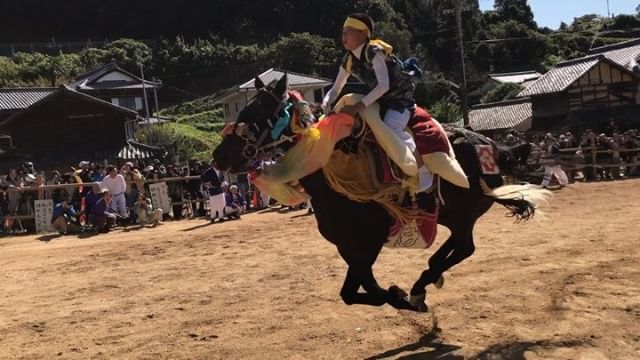 菊間町加茂神社のお供馬走り込み。すごいスピード！すごい迫力！これはすごいわ！生で見てほしい！