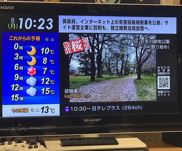 今朝、出勤途中に撮影した石手川公園の桜の写真、朝のうちに投稿したらまたしても、愛媛CATVの桜だよりでオンエアされましたー！これ、なかなかクセになるなwwwでもこのオンエアされた写真だけでいいので、愛媛CATVのサイトで公開してくれんかな？うっかりオンエア見逃してしまってガッカリになるかもだし、ネ。